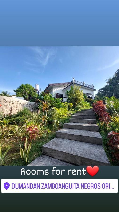 Matteo'S Hus Villa Rental Zamboanguita  Kültér fotó